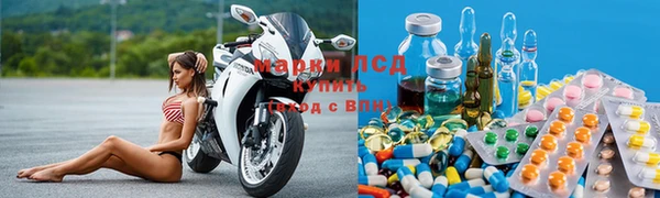винт Алзамай