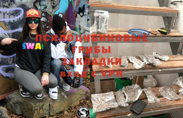 винт Алзамай